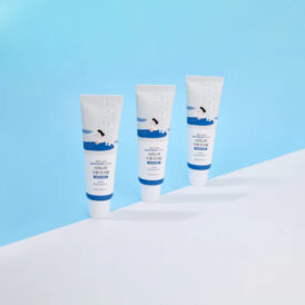 ROUND LAB Birch Juice Moisturizing Sun Cream 50ml