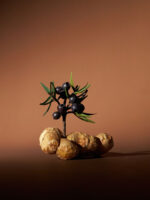 Aromatica Circulating Juniper berry & Ginger Body Oil - 100ml