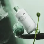 Skin1004 Madagascar Centella Tea-Trica Soothing Sun Milk 50ml - Image 6
